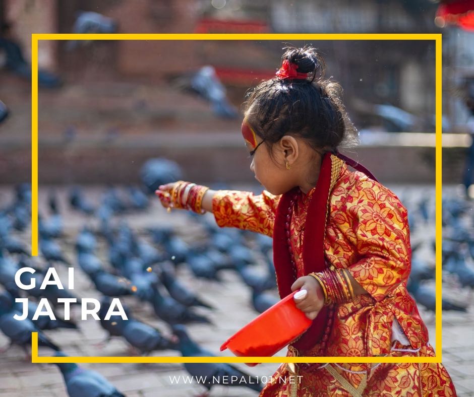 Gai Jatra Festival Nepal101